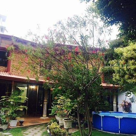 Colombo Lavinia Beach Hostel Dehiwala-Mount Lavinia Exteriör bild