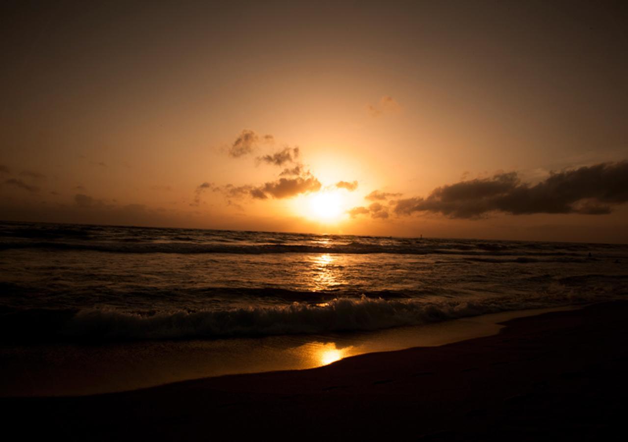Colombo Lavinia Beach Hostel Dehiwala-Mount Lavinia Exteriör bild